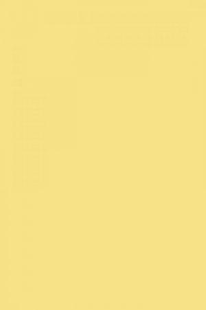 FARROW AND BALL DAYROOM YELLOW NO. 233 PAINT